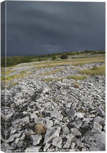 Approaching storm. Township Allotment, Lyth Valley Canvas Print by Liam Grant