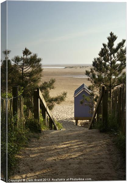 Beach hut and path to beach. Wells-next-the-sea, N Canvas Print by Liam Grant