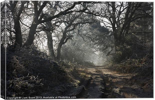 Peddars Way, North Pickenham, Norfolk Canvas Print by Liam Grant