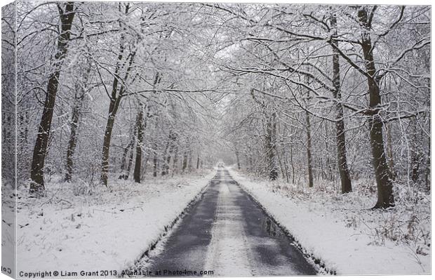 Remote snow covered road through Beech woodland. Canvas Print by Liam Grant
