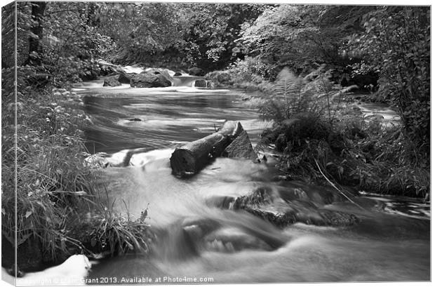 River upstream of Aira Force, Lake District. Canvas Print by Liam Grant