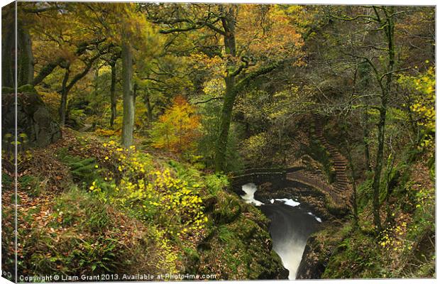 Bridge and steps at Aira Force waterfall. Canvas Print by Liam Grant