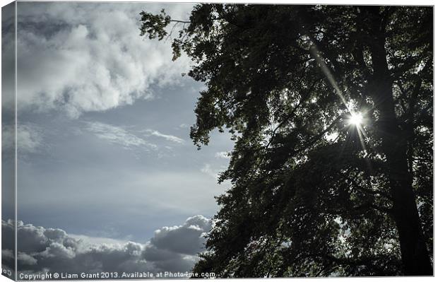 Sunlight through tree and clouds. Canvas Print by Liam Grant