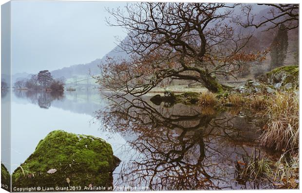 Tree Reflection on Rydal Water. Canvas Print by Liam Grant