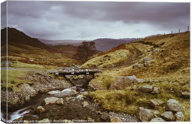 Wooden bridge over Hause Gill. Canvas Print by Liam Grant
