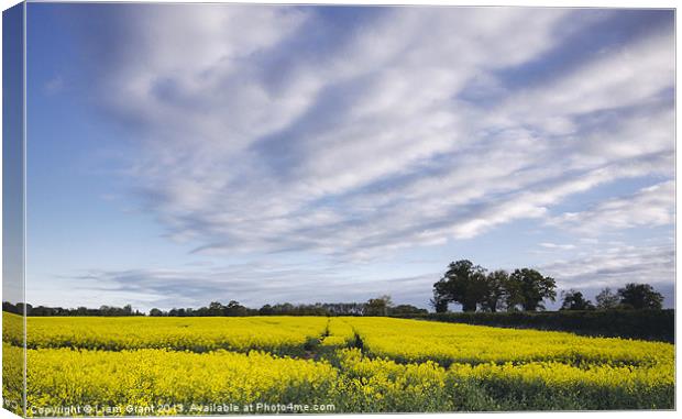 Evening sky over yellow oilseed rape field. South  Canvas Print by Liam Grant