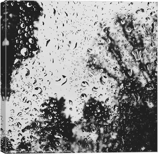 Rain on the windscreen Canvas Print by Liam Grant