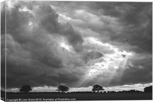 Birds flying in front of a dramatic sky. Canvas Print by Liam Grant
