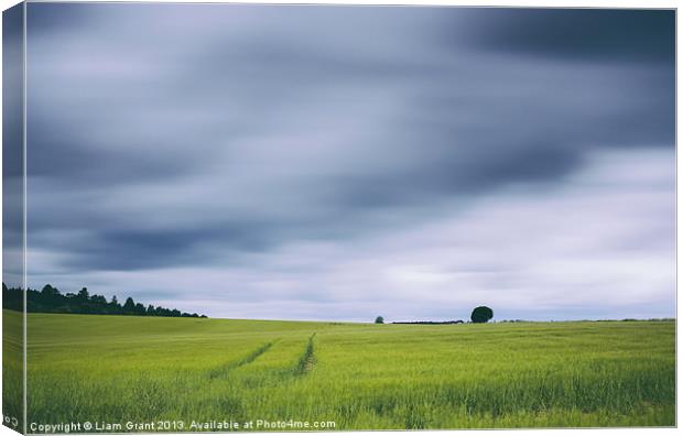 Clouds moving above field of barley. Canvas Print by Liam Grant