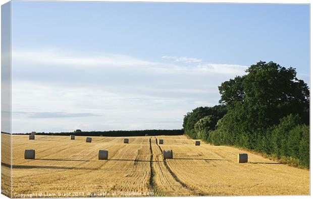 Evening light over round bales of straw in a recen Canvas Print by Liam Grant