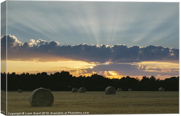 Field of round straw bales at sunset. Canvas Print by Liam Grant