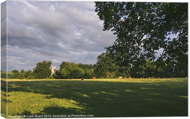 Hilborough Church and cattle grazing in a field at Canvas Print by Liam Grant