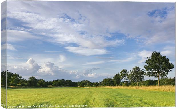 Evening sky over rural grassland. Norfolk, UK. Canvas Print by Liam Grant