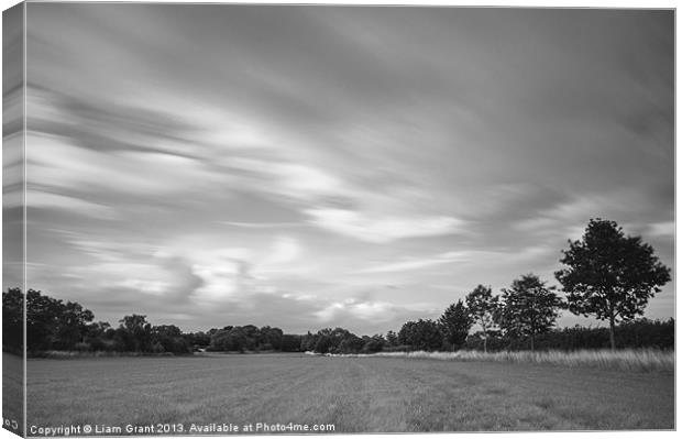 Dramatic windswept trees and sky. Canvas Print by Liam Grant