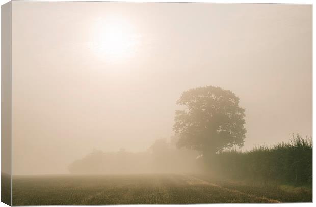 Sunrise burning through heavy fog over countryside Canvas Print by Liam Grant