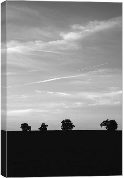 Trees on the horizon below a twilight evening sky. Canvas Print by Liam Grant