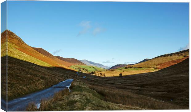 Views from Keskadale down the Pass. Canvas Print by Liam Grant