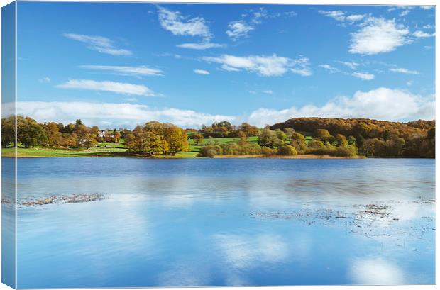 View to Near Sawrey and Hill Top on Esthwaite Wate Canvas Print by Liam Grant