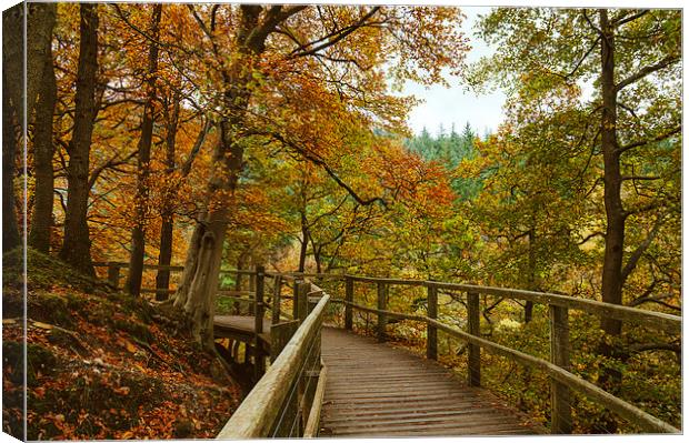 Walkway on the Keswick disused railway path to Pen Canvas Print by Liam Grant