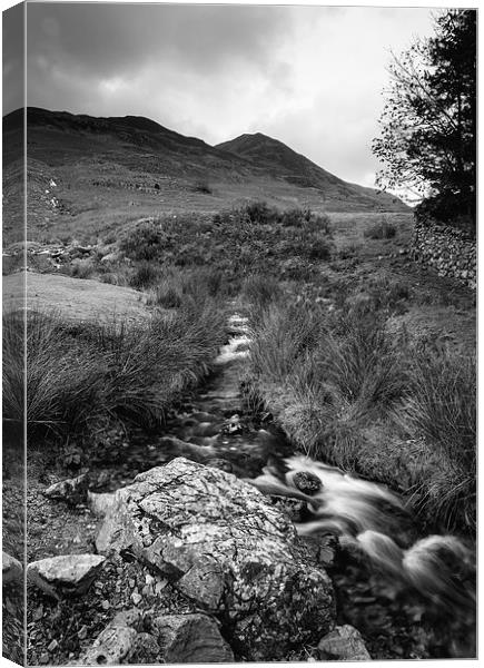 Cinnerdale Beck above Crummock Water with Whiteles Canvas Print by Liam Grant