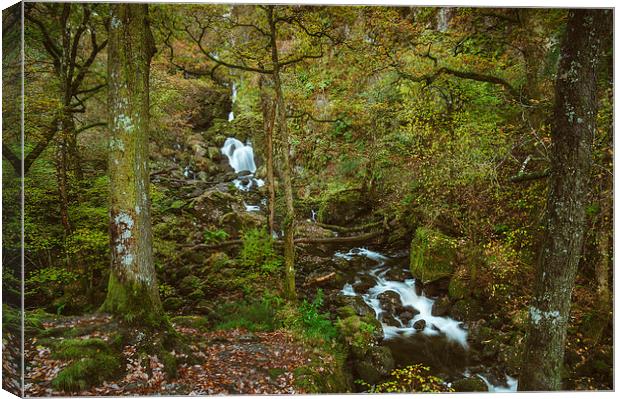 Deciduous woodland and Lodore Falls Waterfall. Canvas Print by Liam Grant