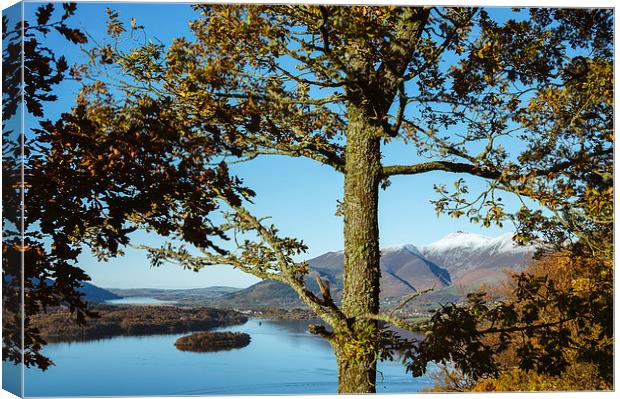 View over Derwent Water to Keswick and Skiddaw. Canvas Print by Liam Grant