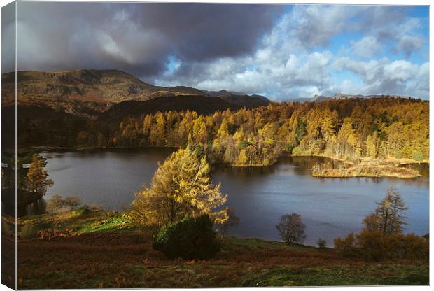 Sunlight over Tarn Hows with Wetherlam and Langdal Canvas Print by Liam Grant