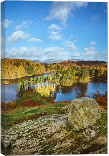 Sunlight over Tarn Hows with Helvellyn beyond. Canvas Print by Liam Grant