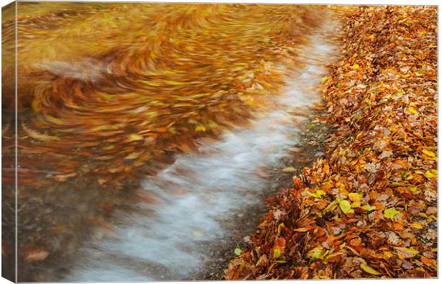 Abstract of autumnal leaves in the waves on Butter Canvas Print by Liam Grant