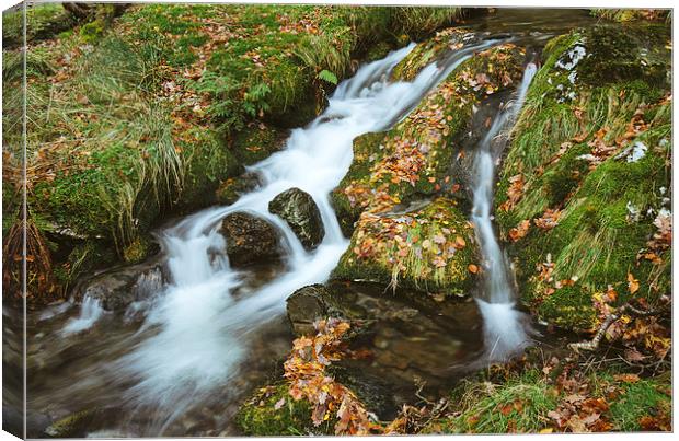Woodland stream waterfall near Buttermere. Canvas Print by Liam Grant