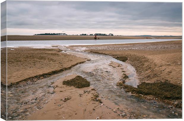 Low tide and dark skies. Canvas Print by Liam Grant