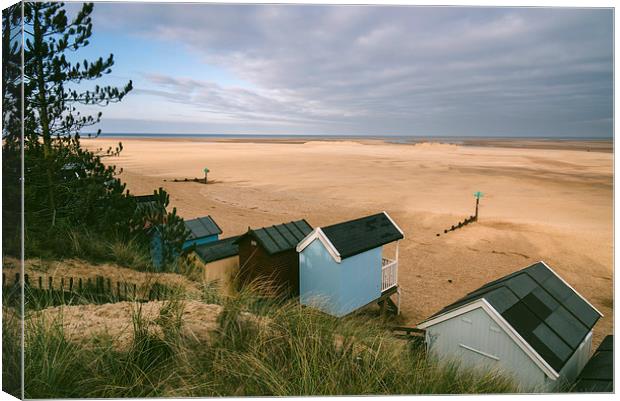 Beach huts and sunlit view out to sea. Canvas Print by Liam Grant