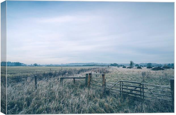 Morning frost over rural countryside scene. Canvas Print by Liam Grant