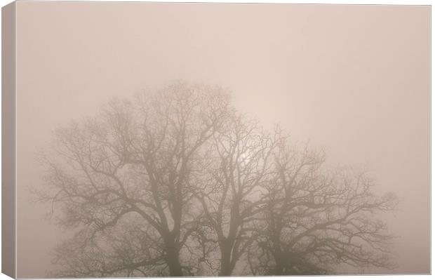 Morning frost and fog over rural countryside scene Canvas Print by Liam Grant