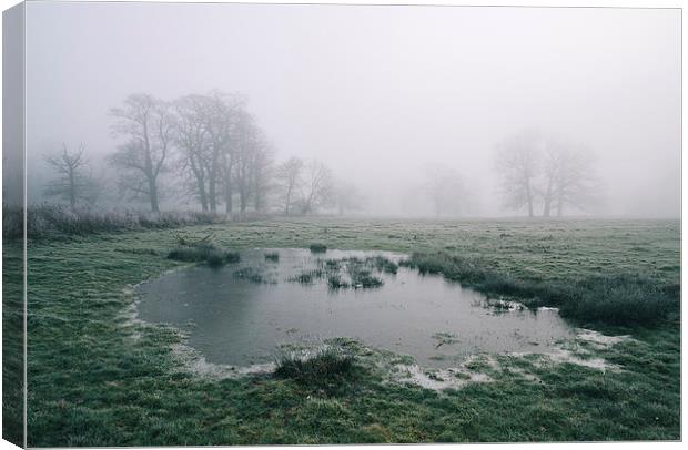 Morning frost and fog over rural countryside scene Canvas Print by Liam Grant