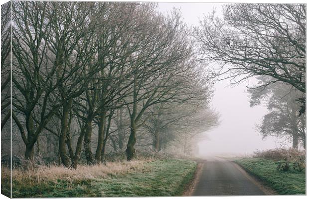 Morning frost and fog in deciduous woodland beside Canvas Print by Liam Grant