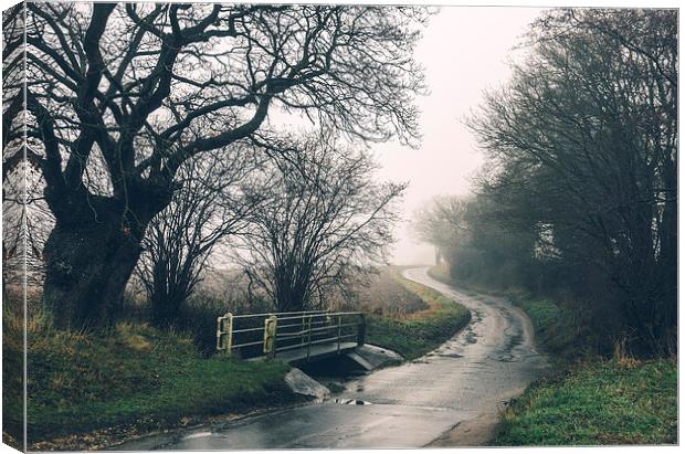 Trees and footbridge beside country road in fog. Canvas Print by Liam Grant