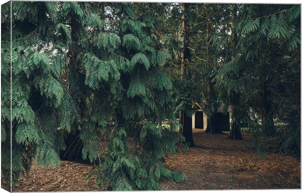 Wooden hut in woodland. Canvas Print by Liam Grant