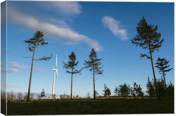 Evening sky and Wind turbine. Canvas Print by Liam Grant