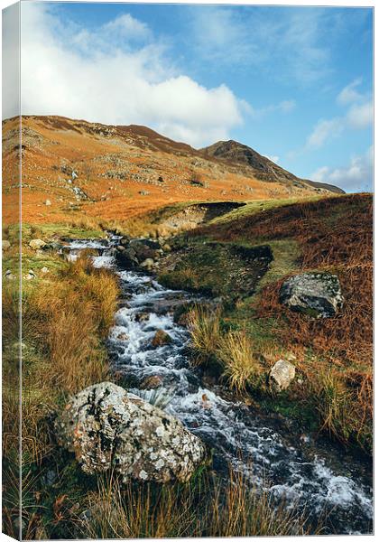 Cinderdale Beck flowing below Whiteless Pike towar Canvas Print by Liam Grant