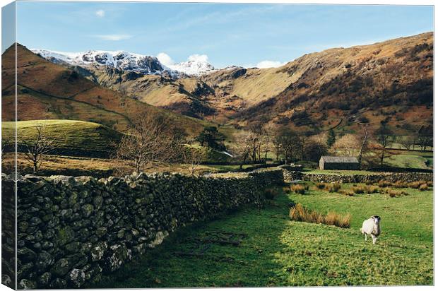 Snow topped mountains in the Hartsop valley. Canvas Print by Liam Grant