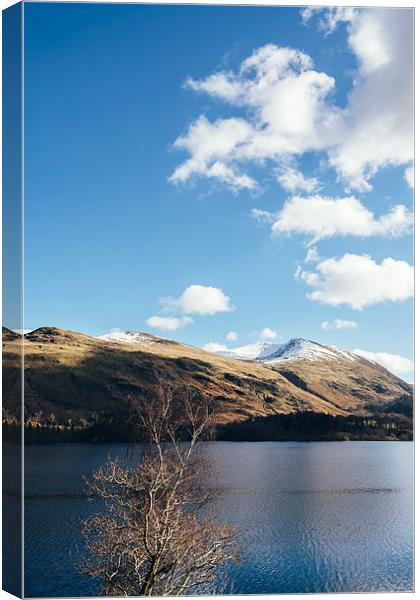 Sunlit trees on the shore of Thirlmere. Canvas Print by Liam Grant