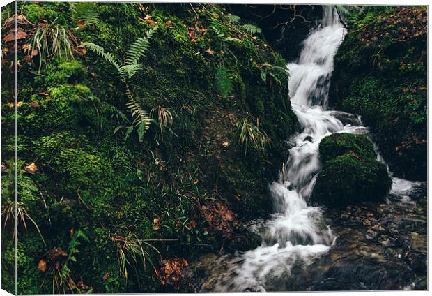Small hillsdie waterfall. Canvas Print by Liam Grant