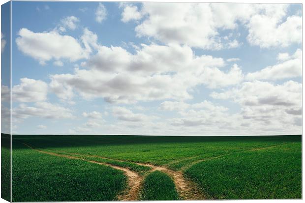 Tracks in a green field below a cloudy blue sky. Canvas Print by Liam Grant