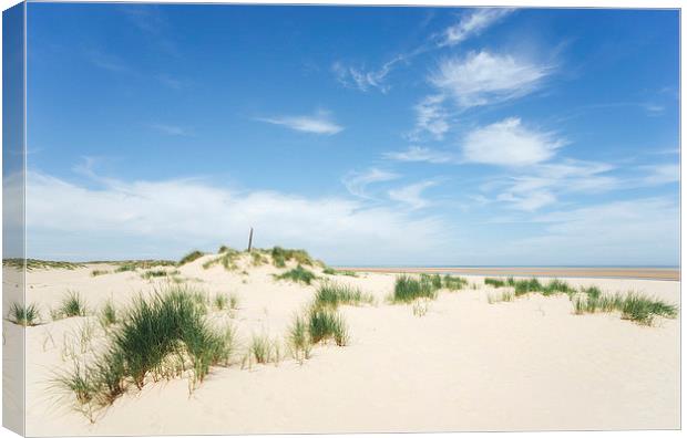 Blue sky beach and sand dunes. Wells-next-the-sea. Canvas Print by Liam Grant