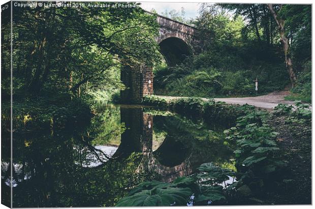 Old railway bridge. Monsal Trail. Canvas Print by Liam Grant