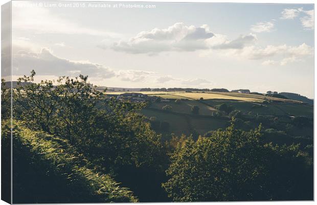 Evening view near Butterley.  Canvas Print by Liam Grant