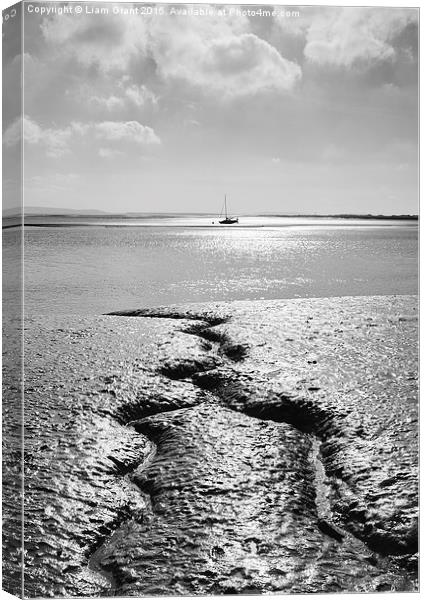 Detail in the sand at low tide. Laugharne, Wales,  Canvas Print by Liam Grant