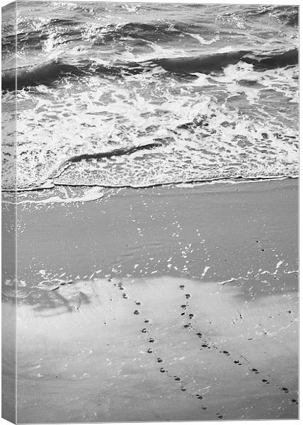 Footprints in the sand. Tenby beach, Wales, UK. Canvas Print by Liam Grant
