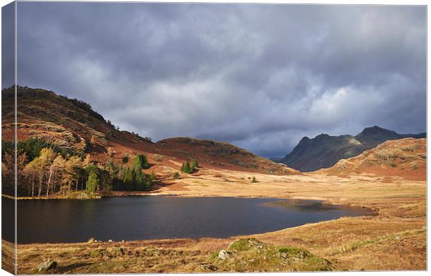 Blea Tarn with Langdale Pikes beyond. Cumbria, UK. Canvas Print by Liam Grant